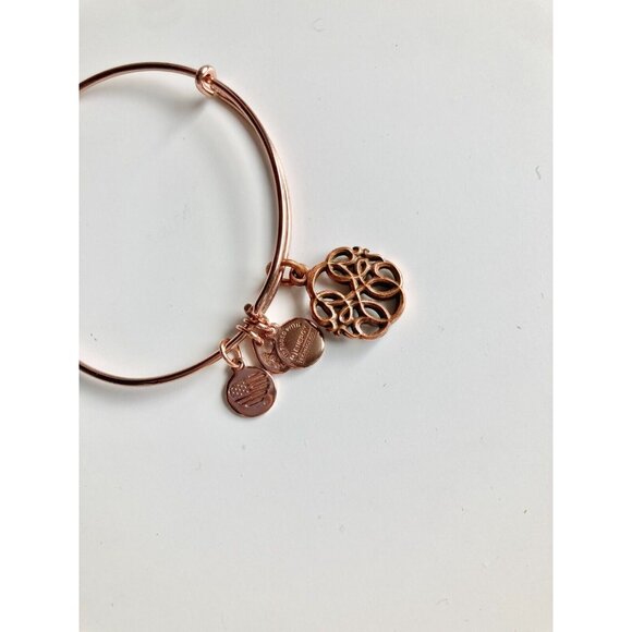 Lot of 3 ALEX & ANI Path of Life Silver & Rose Gold Charm Wire Bangle Bracelets - Picture 11 of 14